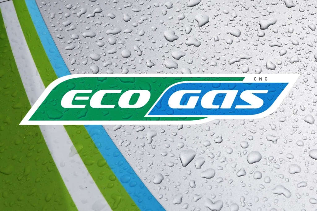 Ecogas logo